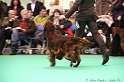 Crufts2011 812